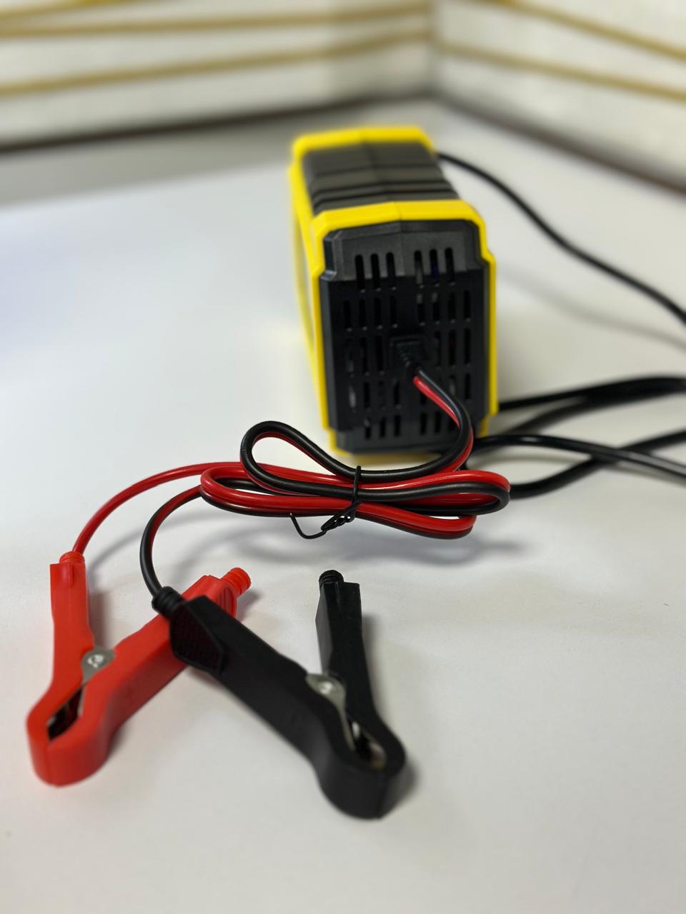 Cargador De Bateria De Pulsos 12v